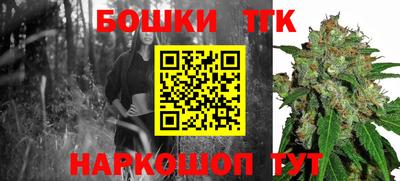 СК Канаш