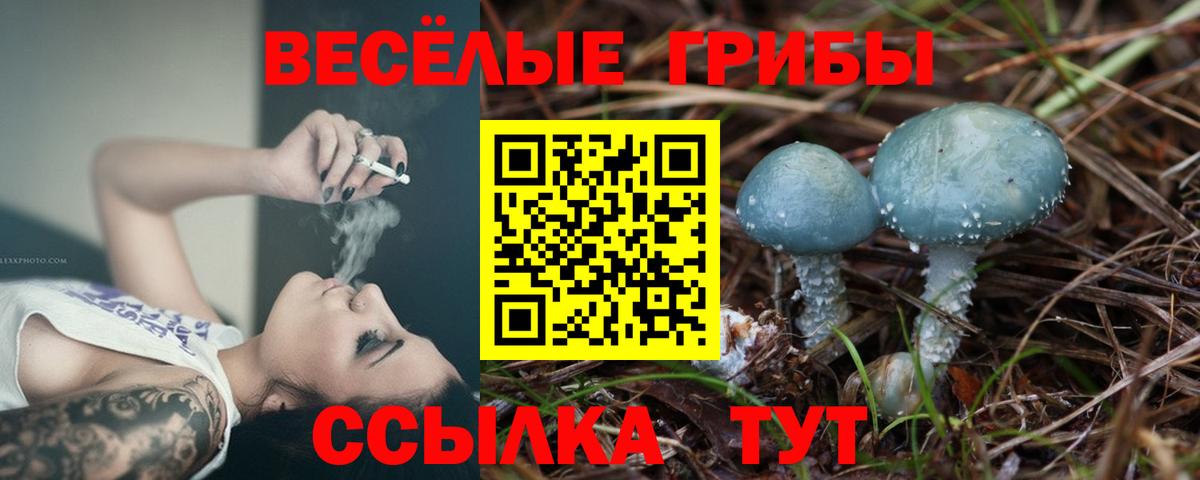 Галлюциногенные грибы Cubensis  Вход с VPN  Псилоцибиновые грибы мицелий  Янаул 